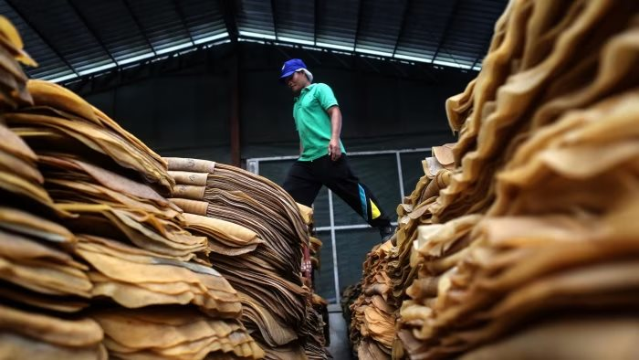&quot;Vàng trắng&quot; của Việt Nam được Malaysia đổ tiền thu mua hàng nghìn tấn